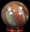 Colorful Petrified Wood Sphere #36961-1